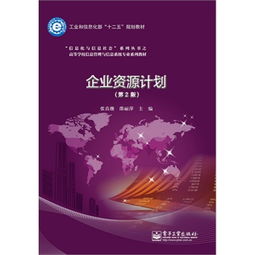 企業(yè)資源計劃系統(tǒng)與信息系統(tǒng)運行維護服務(wù)